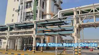Para Chloro Benzyl Chloride - Changzhou Xindong Chemical Industry Development Co., Ltd.